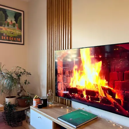 Le Zenith - T2 Chaleureux Et Lumineux * Toulouse