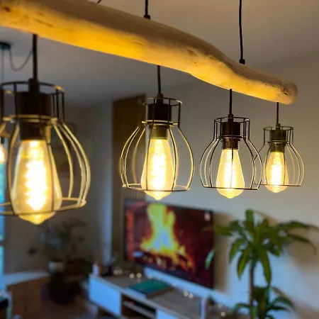 Le Zenith - T2 Chaleureux Et Lumineux