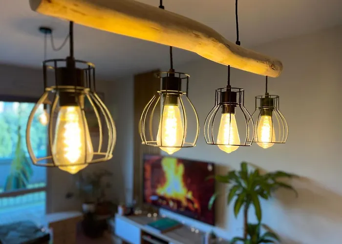 Le Zenith - T2 Chaleureux Et Lumineux