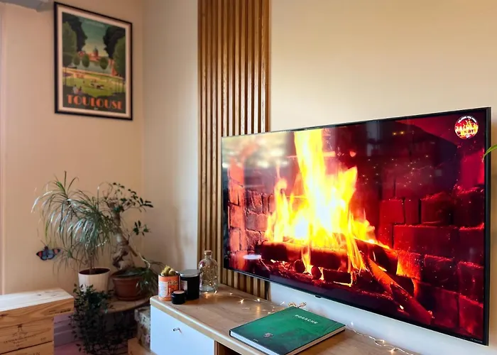 Le Zenith - T2 Chaleureux Et Lumineux * 圖盧茲